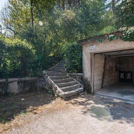 Virna أوباتيا